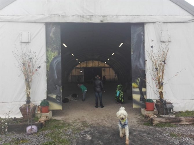 Mamavis na akci Rej strašidel