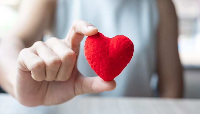 Den zdraví v Klášterci nad Ohří