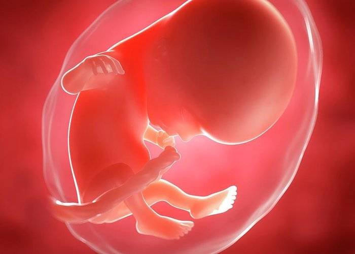 HORMONÁLNÍ KOKTEJL U PORODU