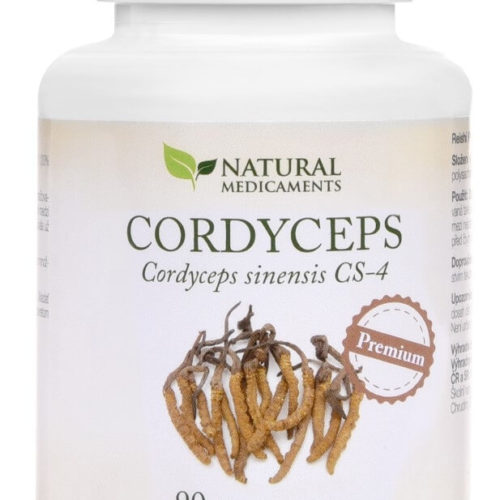 cordyceps-premium-90-